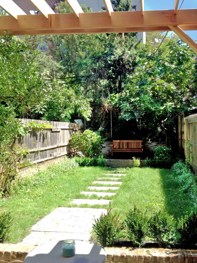 The verdant backyard. Geraldine Pierson