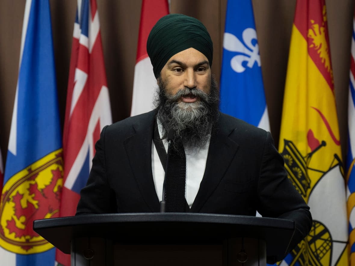 New Democratic Party Leader Jagmeet Singh speaks with reporters during a news conference on Feb. 16 in Ottawa. Singh announced Tuesday that he's suspending his TikTok account due to security and privacy concerns. (Adrian Wyld/The Canadian Press - image credit)