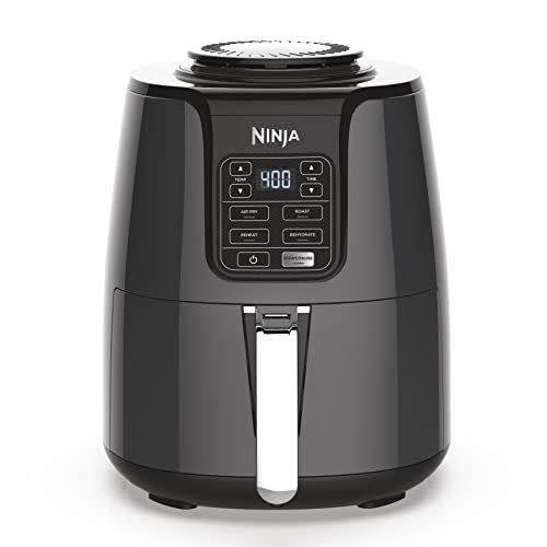 1) AF101 Air Fryer