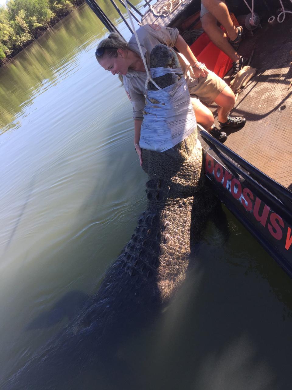 A 5.3m crocodile was caught in Darwin Harbour earlier this year. Source: Facebook/Northern Territory Parks and Wildlife