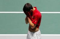 Davis Cup Finals - Quarter-Final