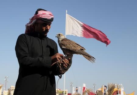 A Qatari man prepares his falcon to participate in a falcon contest during Qatar International Falcons and Hunting Festival at Sealine desert, Qatar January 29, 2016. REUTERS/Naseem Zeitoon