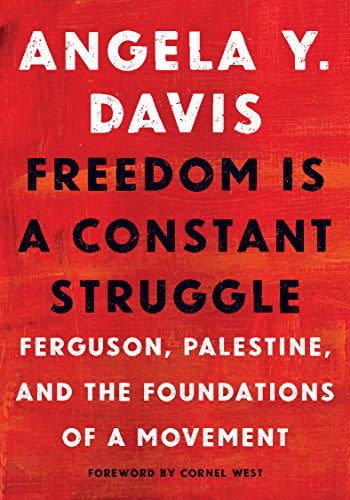 9) Freedom Is a Constant Struggle: Ferguson, Palestine, and the Foundations of a Movement