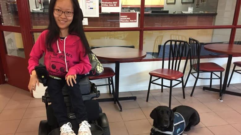 Service dogs bring joy to the classroom at south Edmonton high school