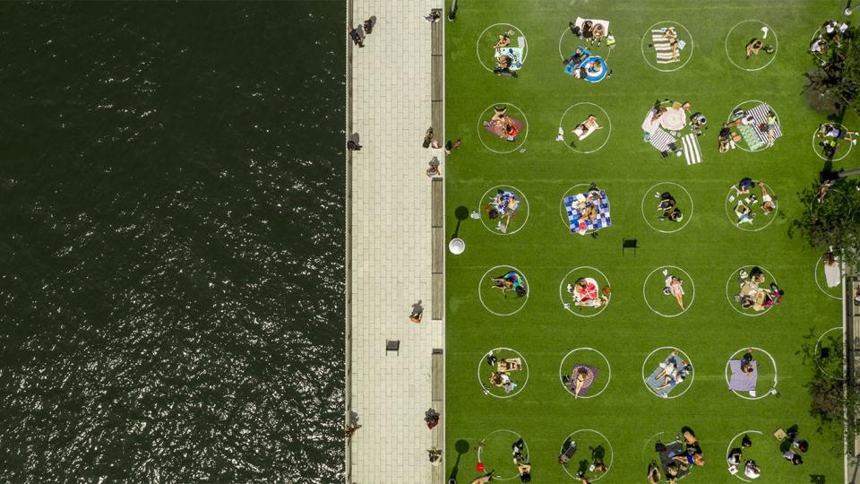 The spray-painted white circles on artificial turf mark safe social distance at New York's Domino Park.