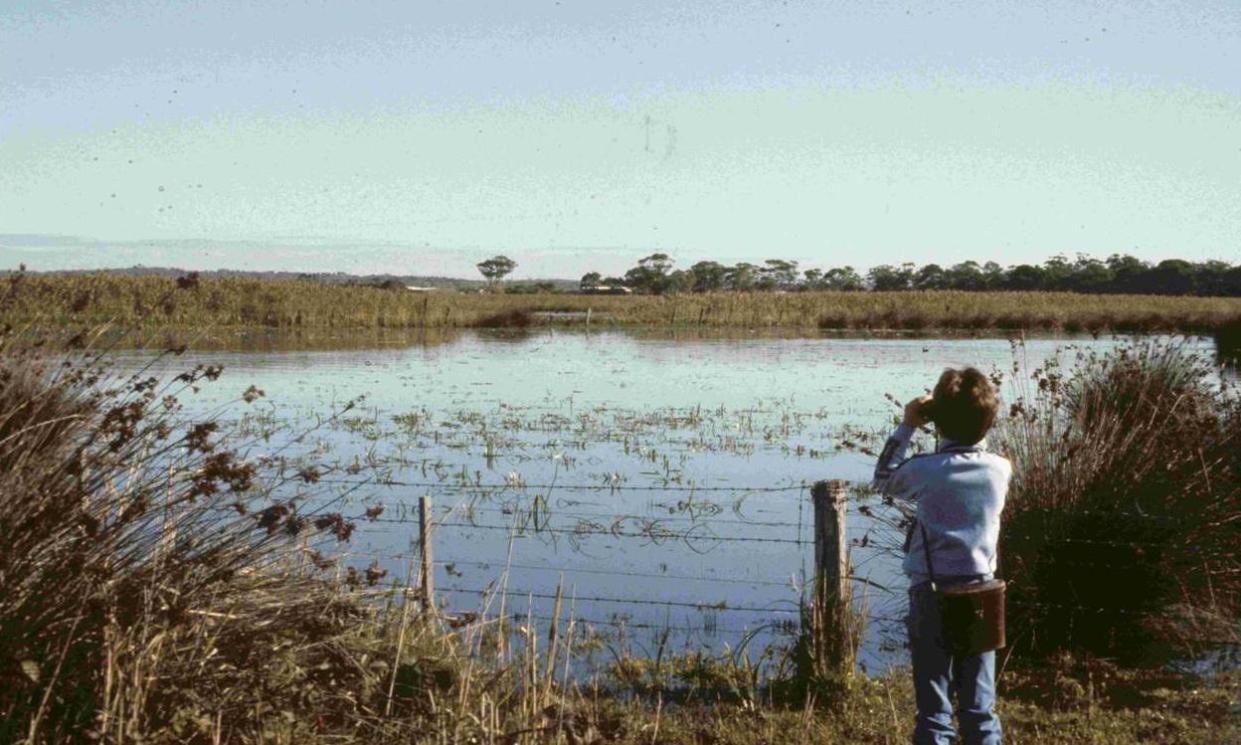 <span>‘I was just going out as a kid doing what I loved but recording the birds I saw as I did,’ Sean Dooley says. He is pictured here, at age 11, birdwatching at 'Seaford swamp', a fresh water wetland in Melbourne's south-east. </span><span>Photograph: Sean Dooley</span>