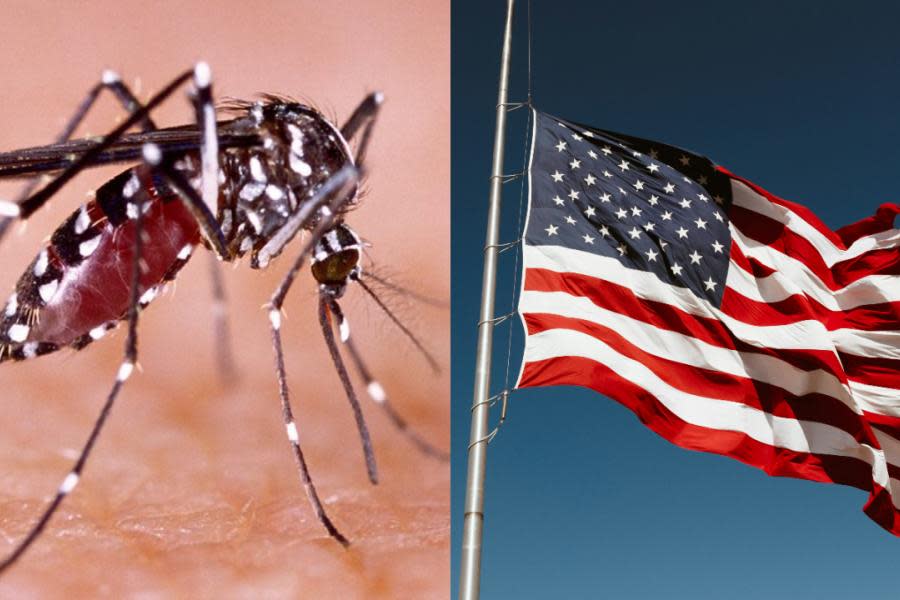 Estados Unidos alerta por amenaza de dengue 