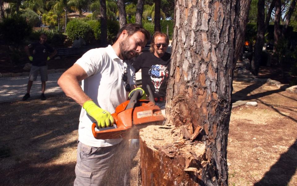 In St. Tropez müssen marode Bäume weichen. Das Problem: eine Stromleitung, die in der Nähe steht. (Bild: RTLZWEI)