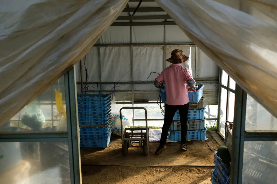 Opening up to foreign workers may ultimately be Japan's best hope for stemming a rapid population decline. (Photo: Takaaki Iwabu/Bloomberg)