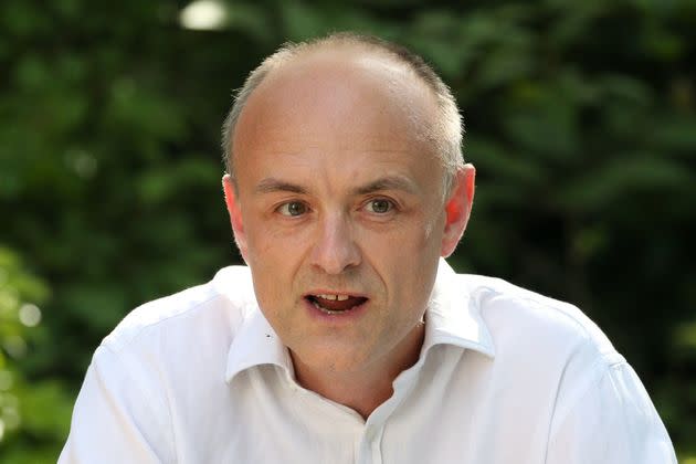 Cummings speaking in the Rose Garden of No.10 on May 25, 2020 (Photo: JONATHAN BRADY via Getty Images)