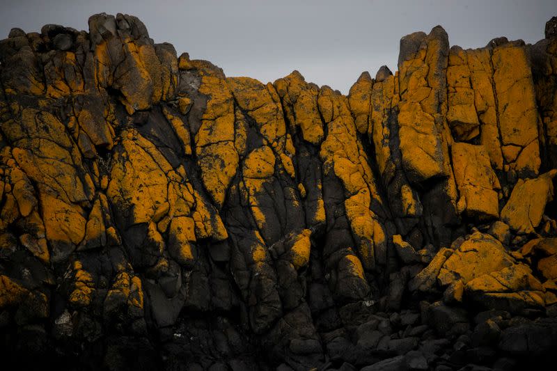 The Wider Image: On board the Antarctic expedition that reveals dramatic penguin decline