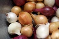 braised-onions-1.jpg