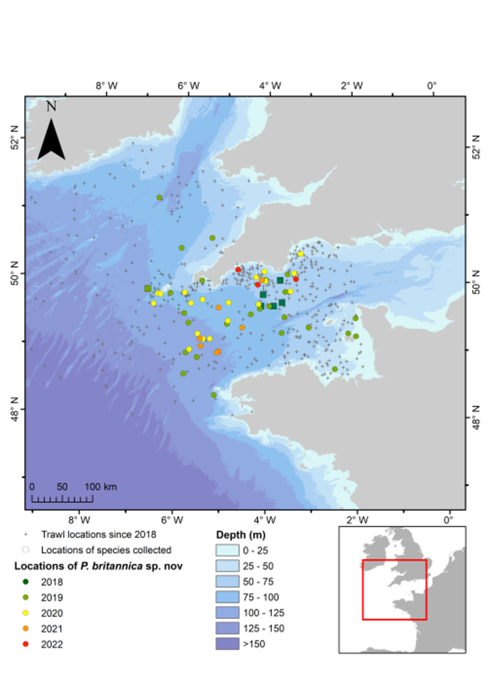 Where the pleurobranchaea britannica can be found (Centre for Environmental Fisheries and Aquaculture Science)