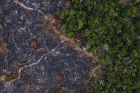 A burned area of the Amazon rainforest is seen in Prainha, Para state, Brazil on Nov. 23, 2019. The Amazon region has lost 10% of its native vegetation, mostly tropical rainforest, in almost four decades, an area roughly the size of Texas, a new report released Dec. 2, 2022, says. (AP Photo/Leo Correa, File)