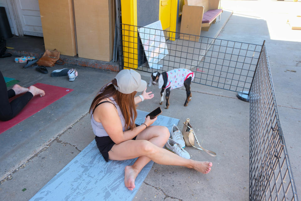 A late arriver tries to pet a goat during goat a yoga session last weekend at The Garage event venue on the Historic Route 66 in Amarillo.