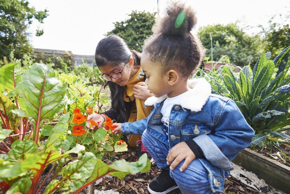 8) Set up a community garden.