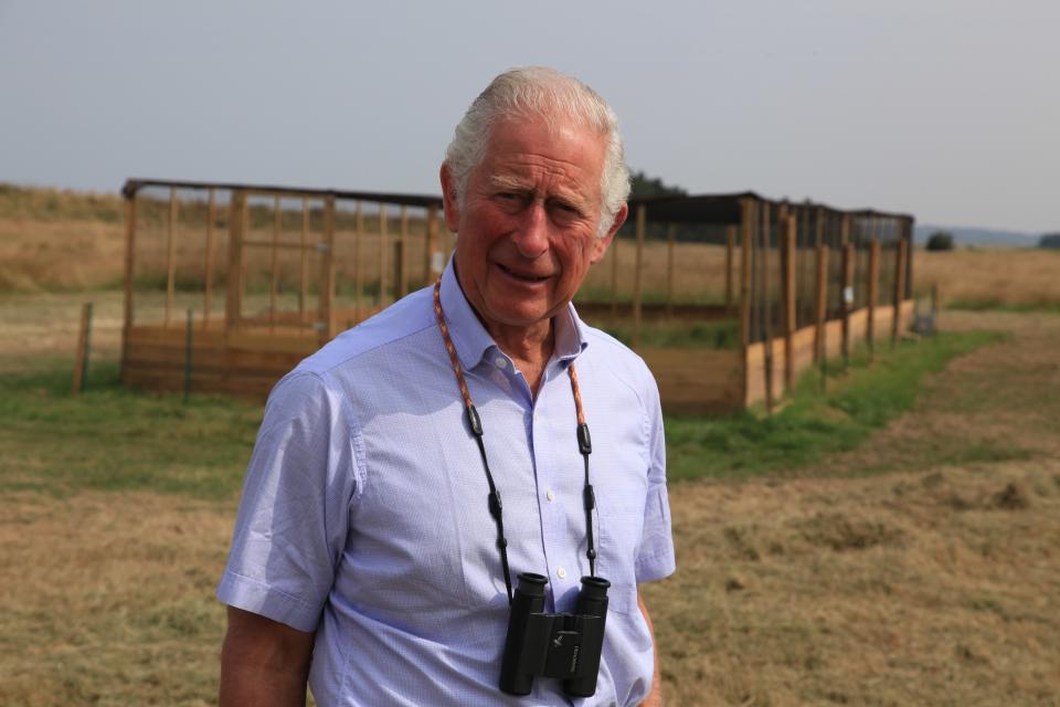 The Prince of Wales close to the curlews enclosure (Martin Hayward-Smith/PA)