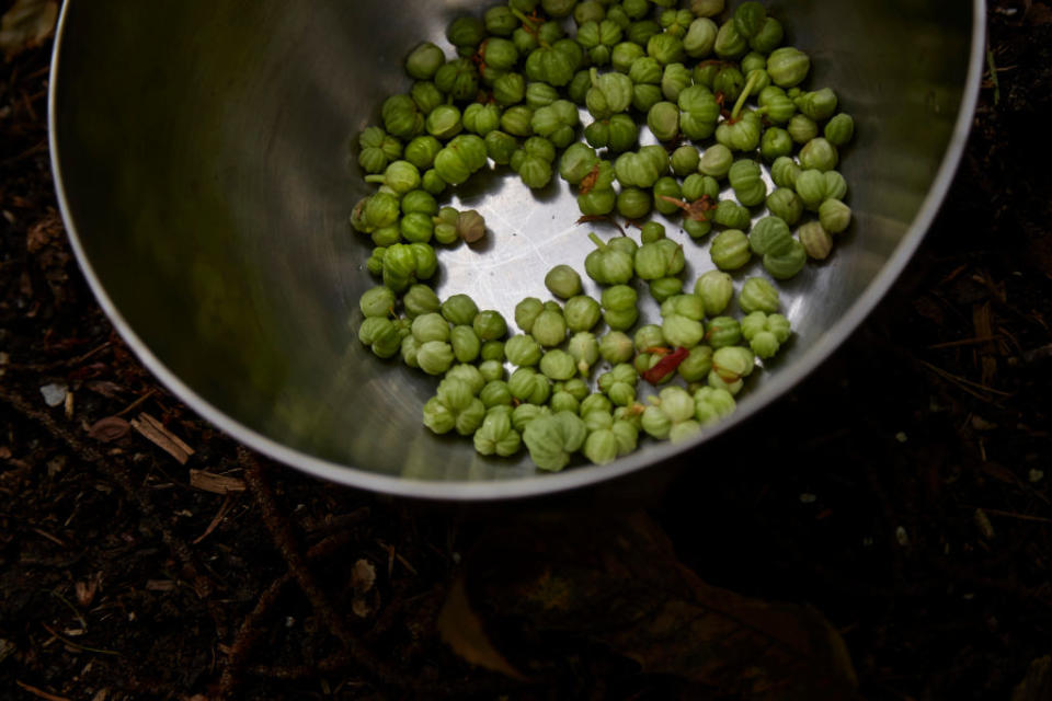 Kapern sind die reichhaltigste natürliche Quelle von Quercetin. - Copyright: Pierre Crom/Freier Fotograf/Getty Images