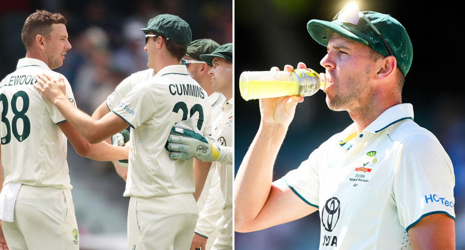 Aussie captain Pat Cummins denied Josh Hazlewood more of a chance to claim his first 10-wicket haul in a Test match. Pic: Getty