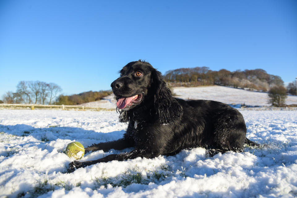 In pictures: Snow blankets Britain