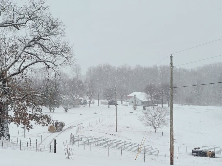 Snow on the Reeder Family Farm in Livingston (Courtesy: Donna Reeder)