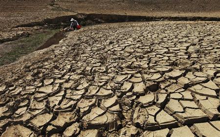 A man fetches water from a partially dried-up reservoir in Taizhou, Zhejiang province August 17, 2013. REUTERS/Stringer