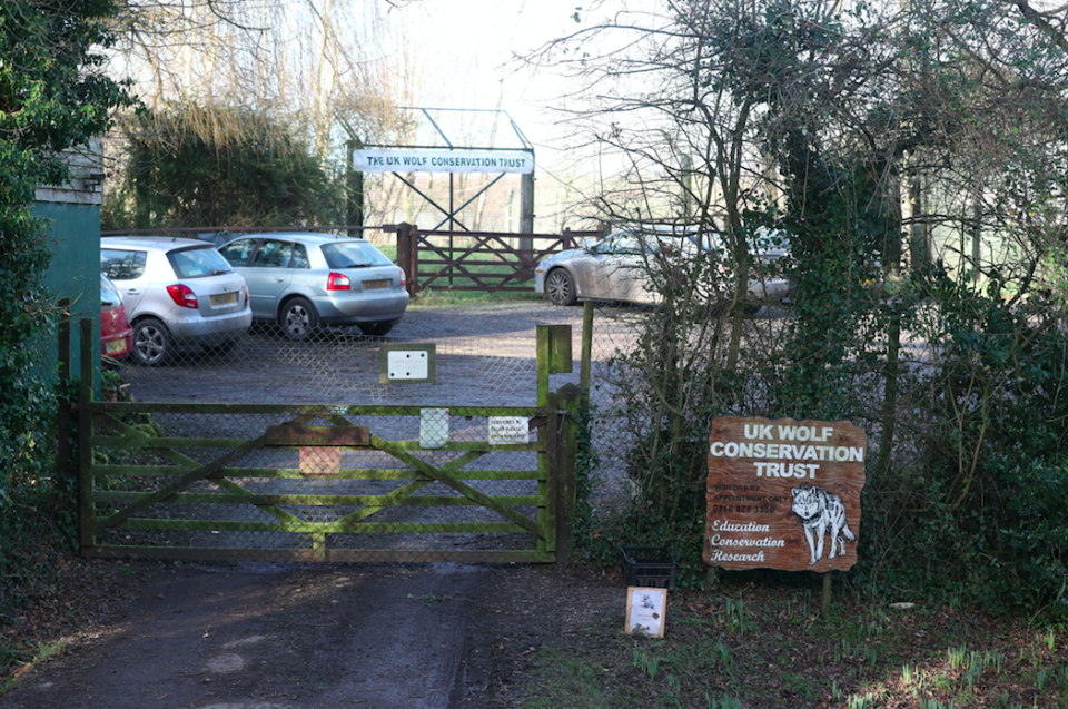 <em>The UK Wolf Conservation Trust currently has 10 wolves from the Artic and Northwestern breeds, living in four packs (PA)</em>