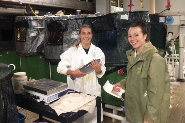 Bailey Hart (left) and Angelisa Osmond (right) are master of science students at Dalhousie University's agricultural campus. They are seen weighing rainbow trout as part of experimental activities in the lab. (Dalhousie Agricultural Campus Aquaculture Lab - image credit)