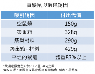 實驗鼠與環境誘因，動物實驗，實驗動物。（風傳媒製圖）