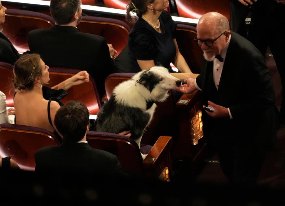 Meessi’s fans were delighted to see the pooch at the Academy Awards. Chris Pizzello/Invision/AP