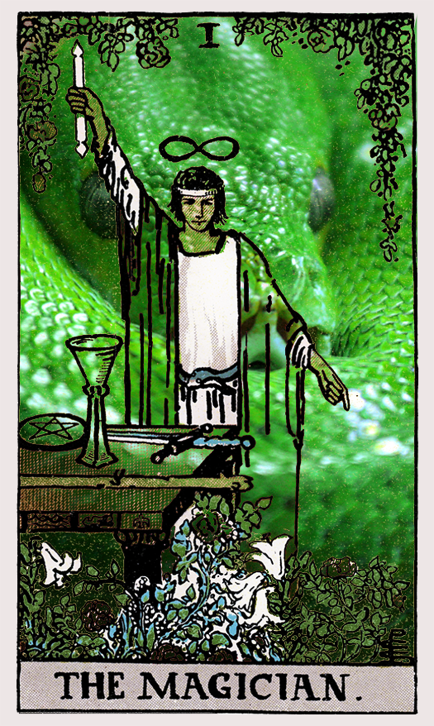 the magician tarot card