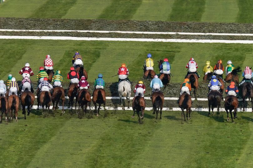 Runners take the first fence during The Randox Grand National in 2023