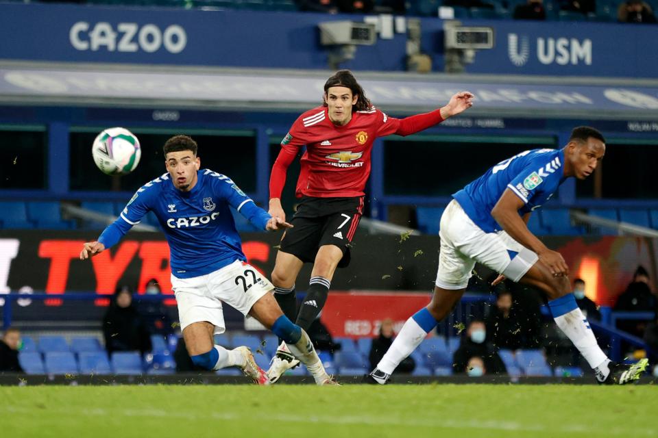 <p>Wonderful strike: Edinson Cavani netted a fantastic late goal for Manchester United against Everton</p> (Getty Images)