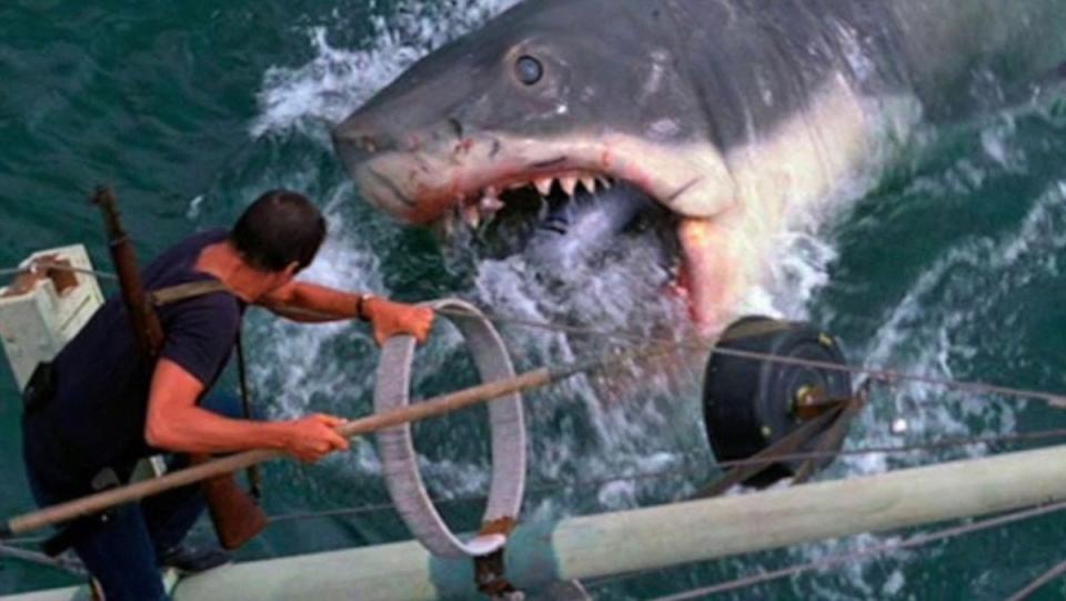 The climactic fight from Jaws between Brody and the shark.