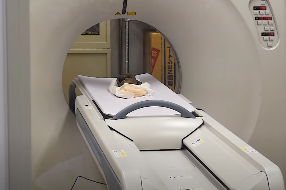 The object has undergone a CT scan to determine its origins (YouTube/Asahi Shimbun)