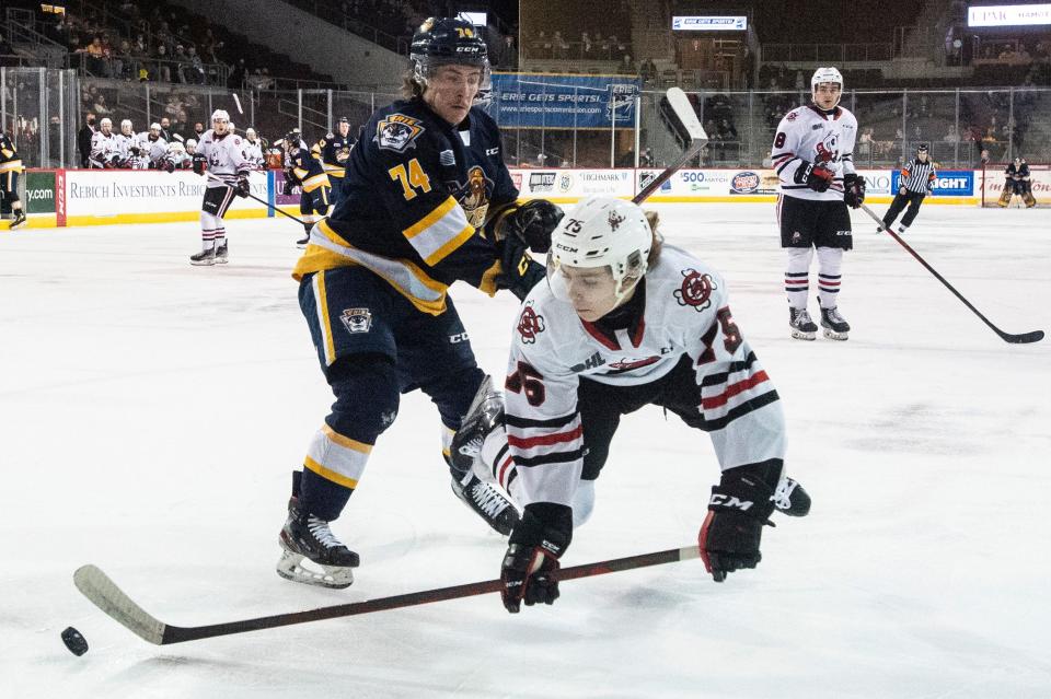 Niagara IceDogs defenseman Andrew Wycisk (75) defends possession of the puck against Erie Otters left winger Noah Sedore (74) on Feb. 16, 2022 at the Erie Insurance Arena. The Erie Otters defeated the Niagara IceDogs 6-2.