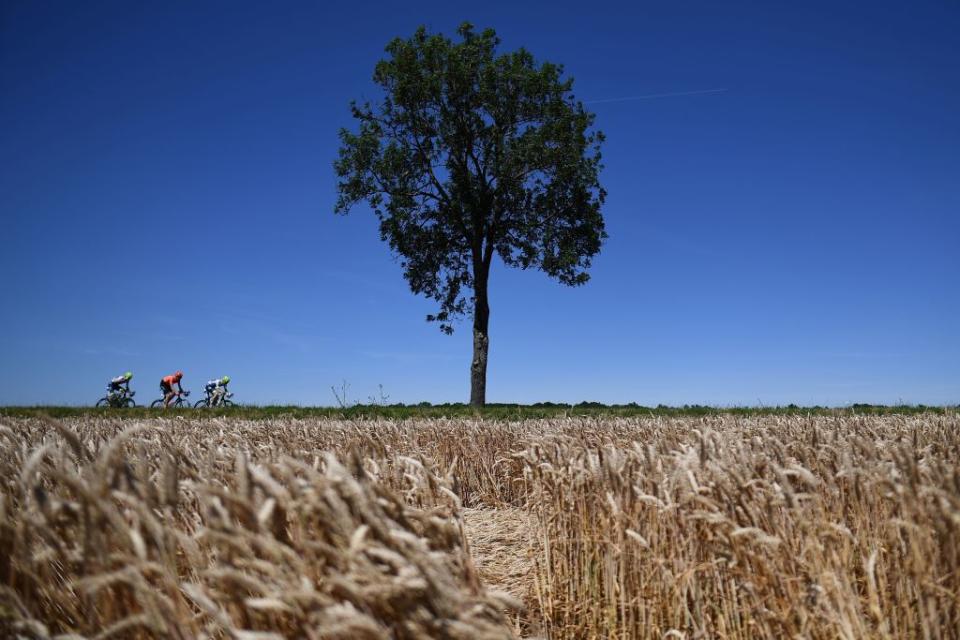 Tour de France 2019 : les plus belles photos de la Grande Boucle (J-4)