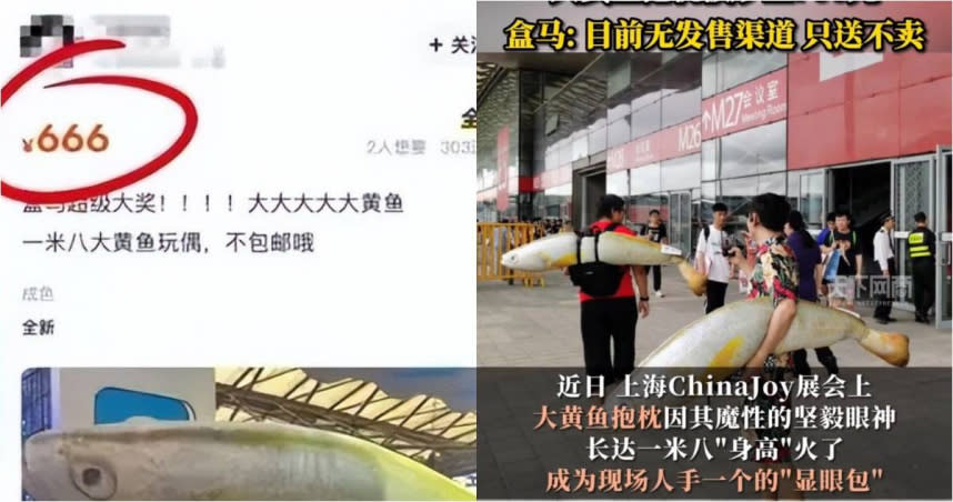 日前在上海舉辦的ChinaJoy展覽會上，一隻名為「大黃魚」的抱枕備受矚目，在網路上已經被炒價到666元人民幣（約2800元新台幣）。（圖／抖音）
