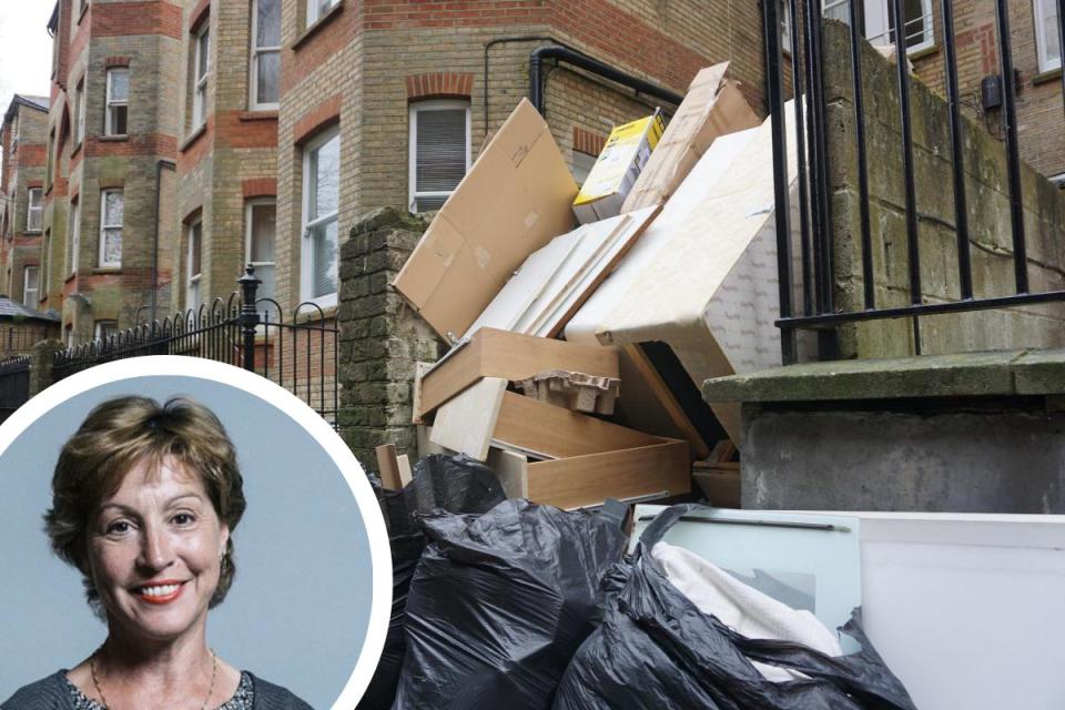 Minister responds to calls for tougher sanctions to tackle fly-tipping <i>(Image: Newsquest/UK Government website)</i>