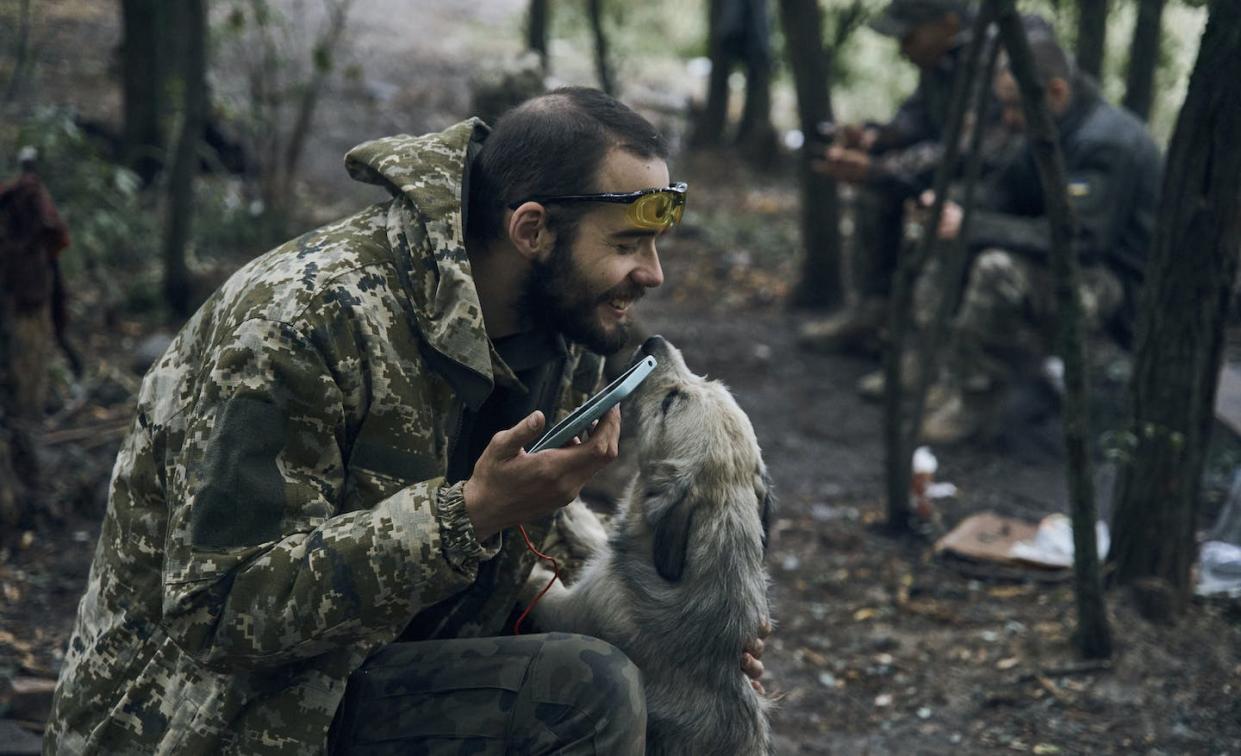 A Ukrainian soldier plays with a dog as he has a rest in the freed territory in the Kharkiv region of Ukraine on Sept. 12, 2022. Ukrainian troops retook a wide swath of territory from Russia. (AP Photo/Kostiantyn Liberov)