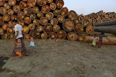 A woman walks with children near logs at a timber yard in Yangon January 31, 2014. REUTERS/Soe Zeya Tun/Files