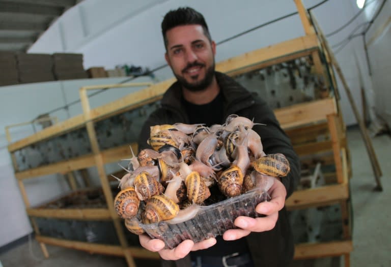 Davide Merlino (pictured) and brothers Michele and Giuseppe Sansone set up their farm, La Lumaca Madonita, outside Sicily's Palermo 10 years ago, researching snail farms in Greece, Spain and France