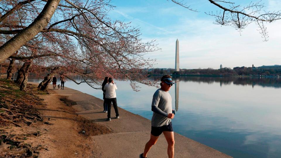 PHOTO: Joggers run along the Tidal Basin on March 14, 2024 in Washington, DC. (Anna Moneymaker/Getty Images)