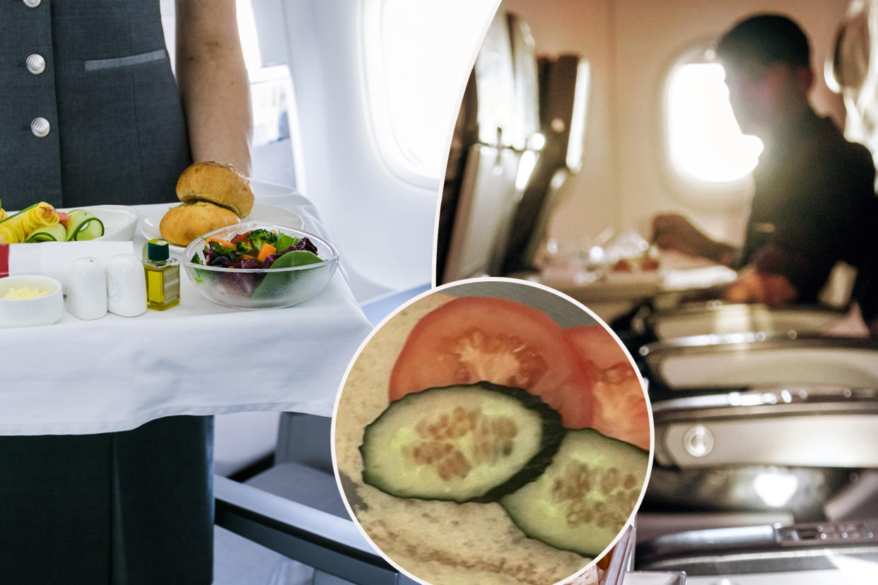 An alleged vegetarian passenger was left high and hangry after getting served a sandwich so skimpy that it seemingly wouldn't satisfy a grasshopper, per a post taking off on Reddit.