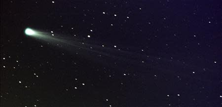 Comet ISON is pictured in this November 19, 2013 handout photo by NASA, taken using a 14-inch telescope located at the Marshall Space Flight Center at 6:10 a.m. EST with a three-minue exposure. REUTERS/Aaron Kingery/MSFC/NASA/Handout via Reuters