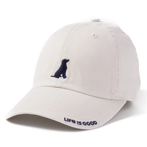 35) Chill Cap Baseball Hat