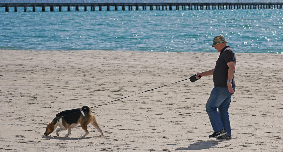 Photo shows a man on a beach in Melbourne walking a dog.
