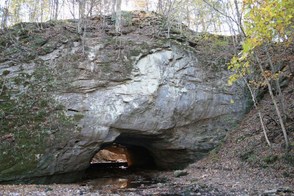 Rock Bridge Memorial State Park in Columbia.