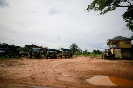 Logging trucks are parked along the Owo-Akure road, close to the bushmeat market in Emure-ile, Ondo