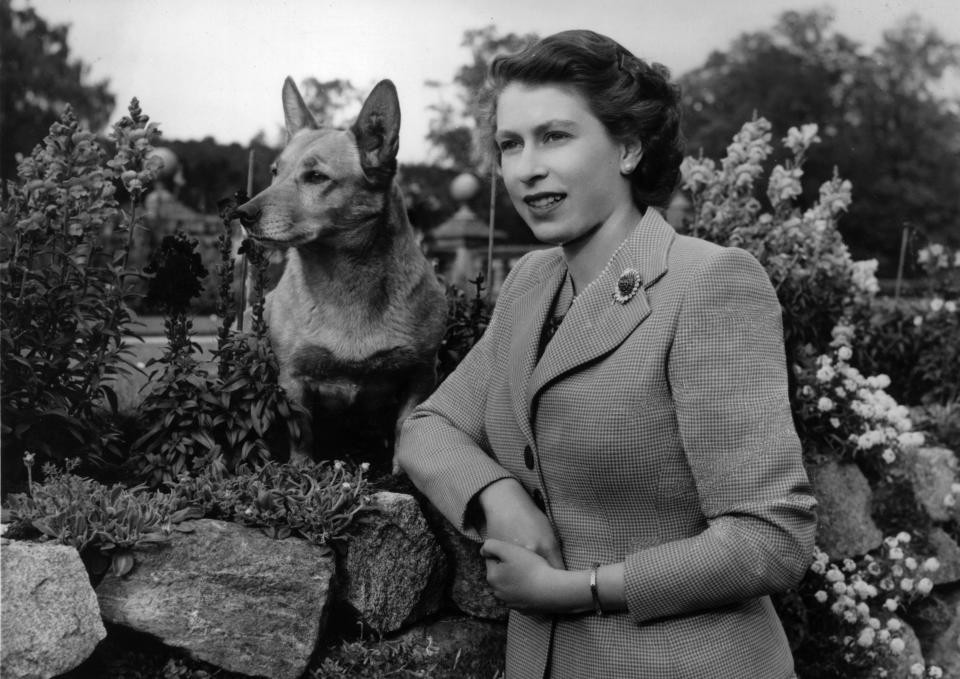 Queen Elizabeth II and her beloved corgi, Susan. Image via Getty Images.